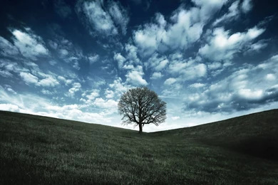 Full Wallpapers Download   Wallpapers High Definition