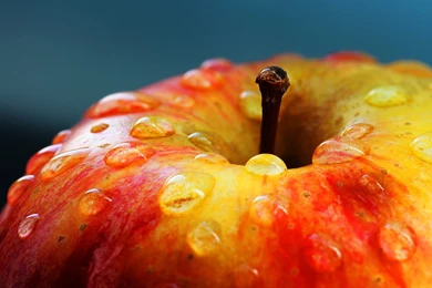 2560x1440 Fresh Apple Wallpapers
