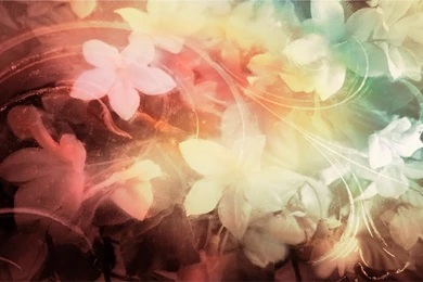 Pretty Painted Flowers Wallpapers By Kerri  Jo On DeviantArt