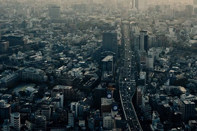 FadeZyy   CEVO Member