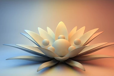 Lotus Flower Wallpapers   3D Wallpapers