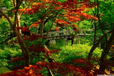 Japanese Garden (Kyoto) HD Desktop Wallpapers : Widescreen : High ...