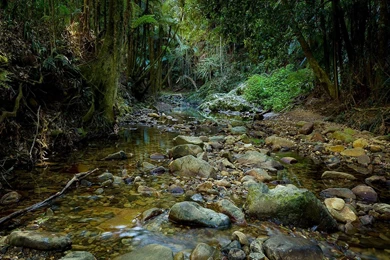 Downloadable Wallpapers