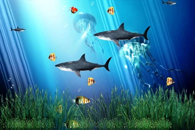 Free Aquarium Backgrounds Cool Aquarium Animated Photos Of ...