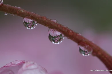 Best Backgrounds Wallpapers For PC