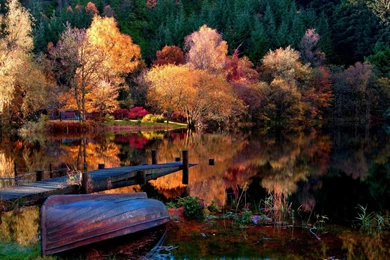 Nature Backgrounds For PC Free Desktop Wallpapers And Stock Photos