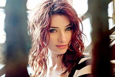Susan Coffey Wallpapers