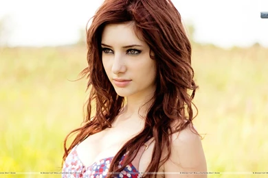 Susan Coffey Wallpapers