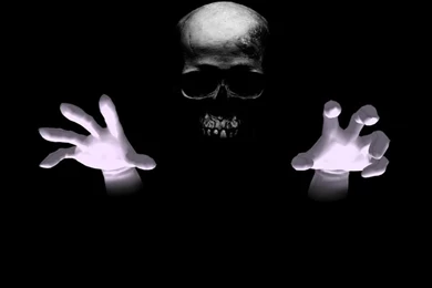 Skull Wallpapers   160825