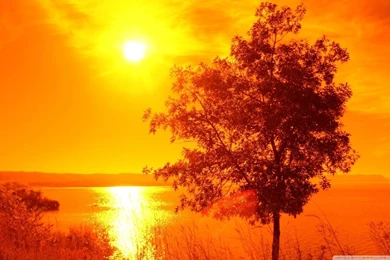 Sun In The Sky HD Desktop Wallpapers : Widescreen : High Definition ...