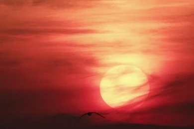 Journey To The Sun iPad Wallpapers Download