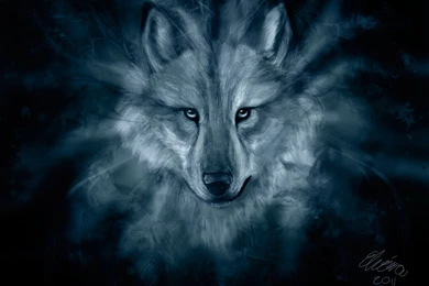 Wolf Hd Wallpapers