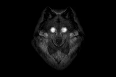 Wolf   Wolves Wallpapers (18854234)   Fanpop