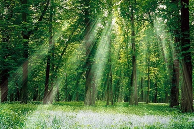 Exotic Scenic Spots Wallpapers (Vol.5) 1280x1024 NO.10 Desktop ...