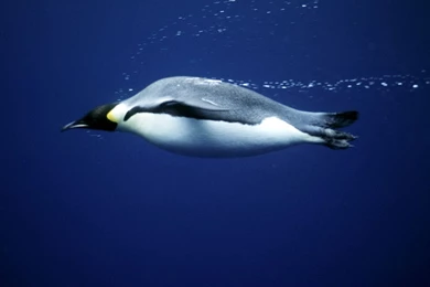 3780_1280x1024 wallpaper cb1267712193.jpg