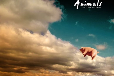 All New Pix1: Wallpapers Division Bell