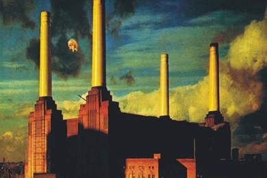 Pink Floyd Animals Album Cover Wallpapers 261185