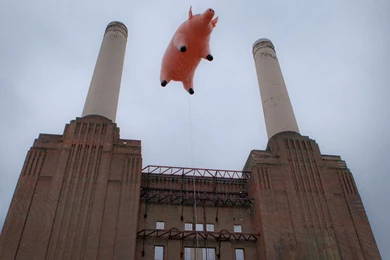 Pink Elephants Floating By