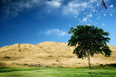 Spring Hd Wallpapers   119084