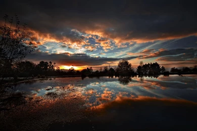 Abstract Nature Wallpapers Digital Art Wallpapers 2560x1440PX ...