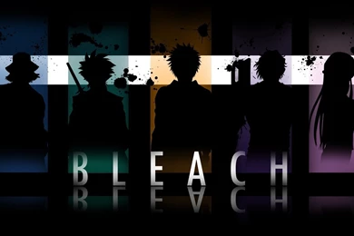 Bleach Wallpapers Hd 1920X1080   1494930