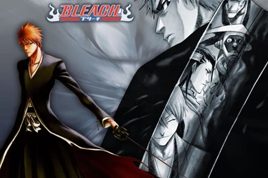 Bleach Wallpapers