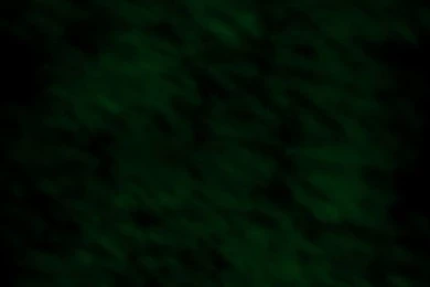 Dark Green Texture/Backgrounds By DragonLilyStock On DeviantArt