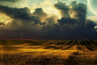 Free Download Mini iPad HD Wallpapers (99)