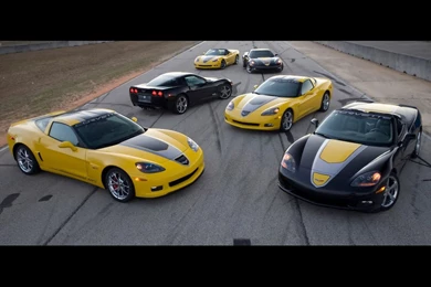 2009 Chevrolet Corvette GT1 Championship Edition   Group ...