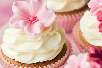 Gallery For   Computer Wallpapers Cupcakes