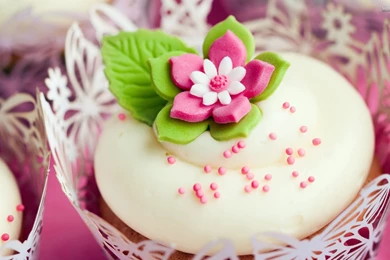 Cupcake 18335 2560x1600.jpg