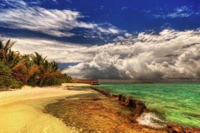 BEAUTIFUL SUMMER WALLPAPER   (