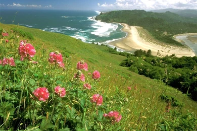 Beautiful Summer Wallpapers 2   Crazy Frankenstein