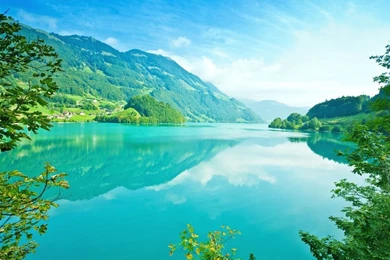 Summer Nature Wallpapers   Crazy Frankenstein