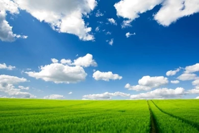 Summer Season Wallpapers