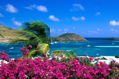 Summer Season Wallpapers