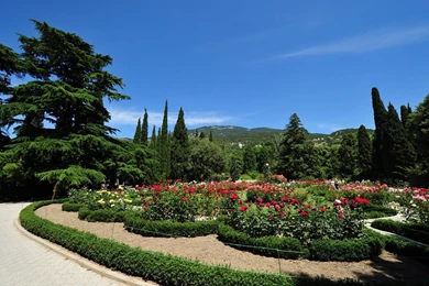 Free Download Wallpapers FWG016 – Wallpaperjosh