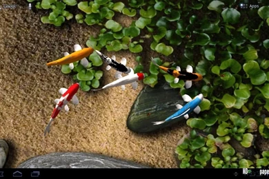 Free Download 3D Live Wallpapers For Android Tablet