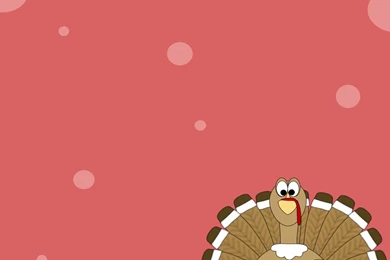 Funny Happy Thanksgiving Wallpapers Free Backgr