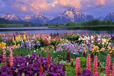 Gallery For   Desktop Wallpapers Spring Scenes