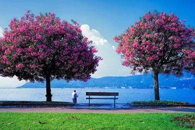 Wallpapers Hd Nature Spring