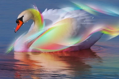 3D Pictures Of Animals   Wallpapers HD Wide