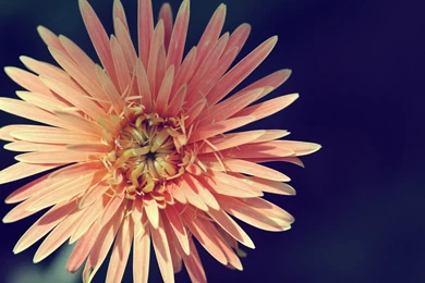 Vintage Desktop Backgrounds   Wallpapers Cave