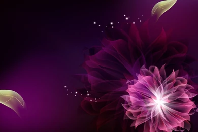 Purple Flower Wallpapers   Abstract Wallpapers