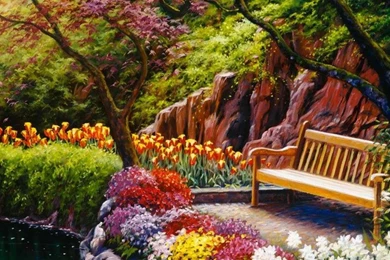 Butterfly Desktop Wallpapers