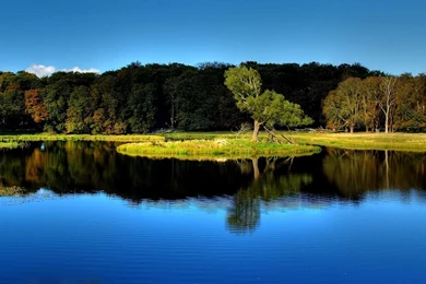 Wonderful top wallpaper 1080p.jpg