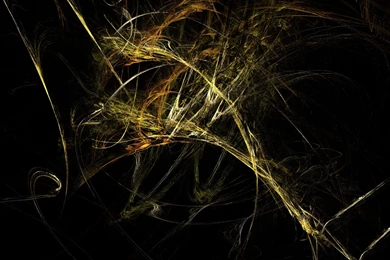 Black And Gold Backgrounds Wallpapers   33374