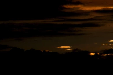 Black Gold Wallpapers.jpg