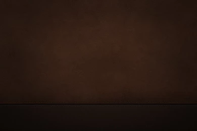 Brown Wallpapers 2015   Grasscloth Wallpapers