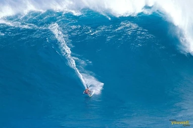 Gallery For   Free Surfing Hawaii Wallpapers